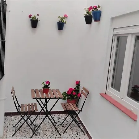 Apartment Tulipanes